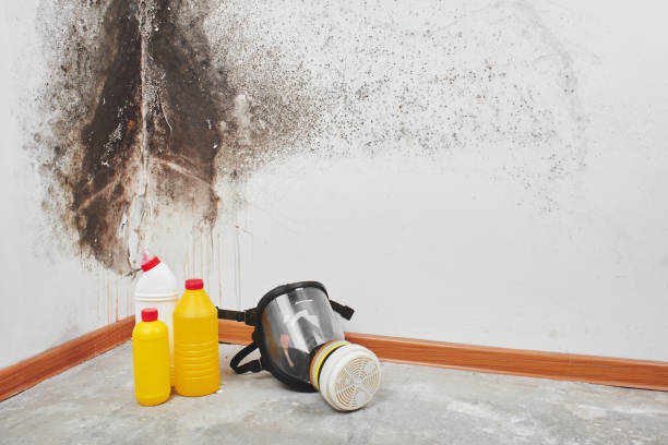 Best Mold Testing  in Angier, NC