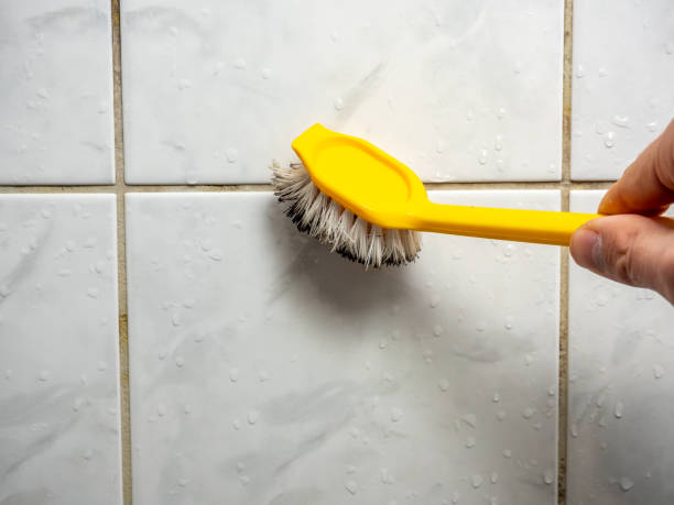Home Mold Removal in Angier, NC