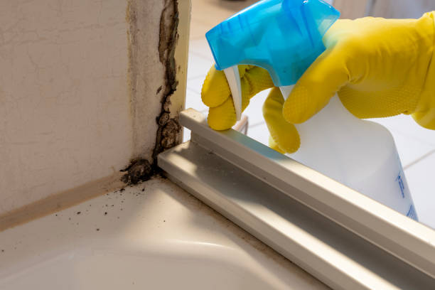 Best Water Damage Restoration  in Angier, NC