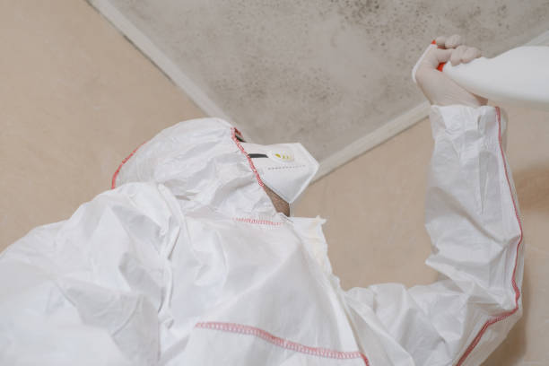 Best Mold Remediation Services  in Angier, NC