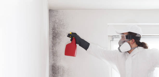 Best Professional Mold Removal  in Angier, NC