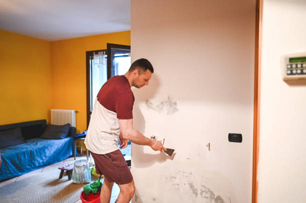 Best Affordable Mold Removal  in Angier, NC