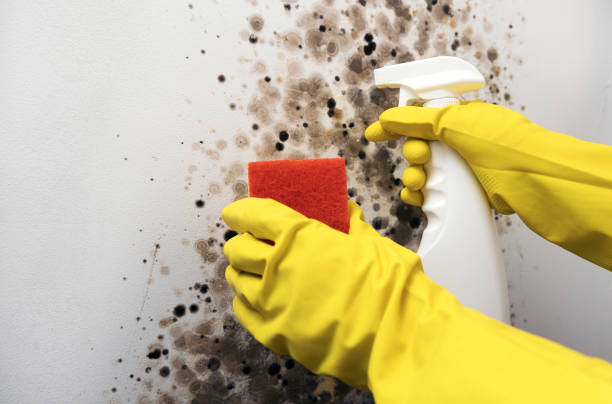 Water Damage Restoration in Angier, NC